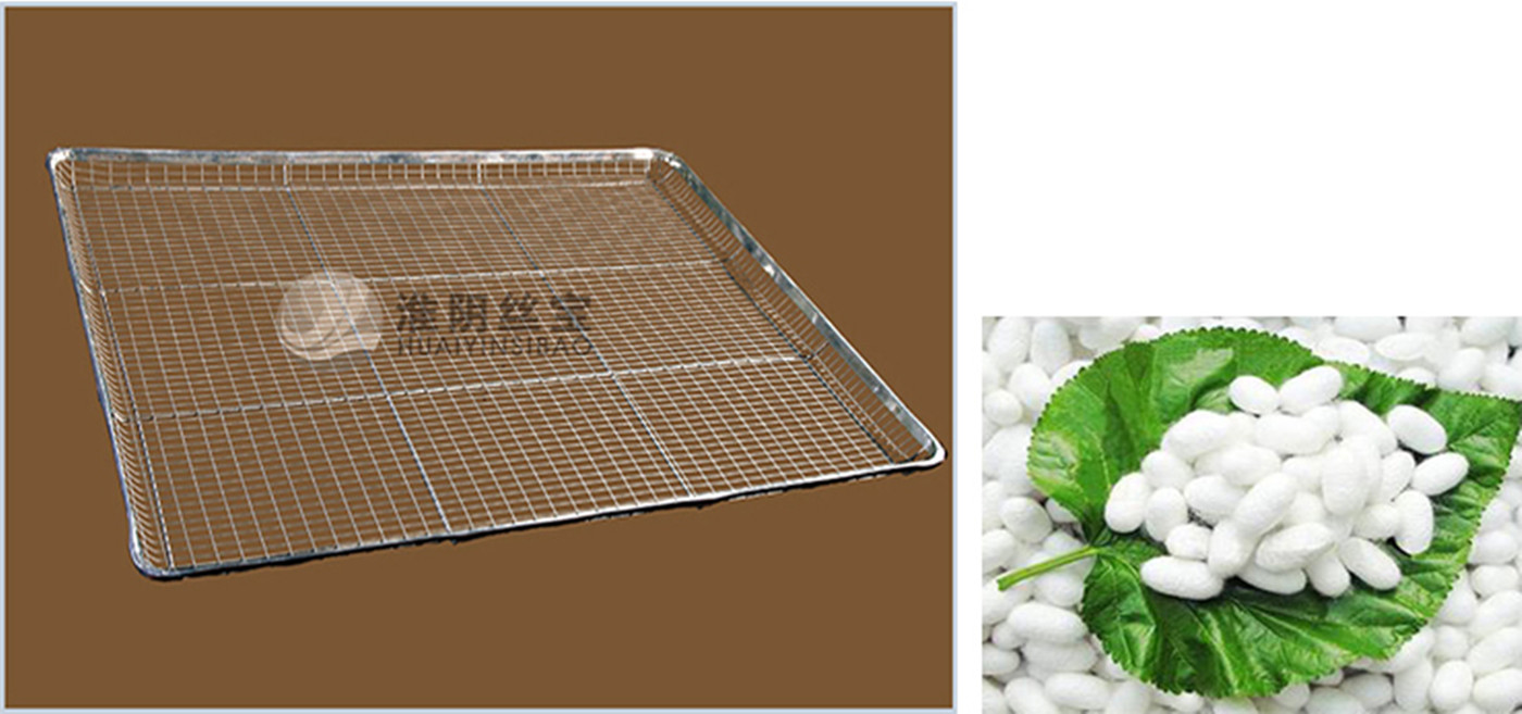 茧格